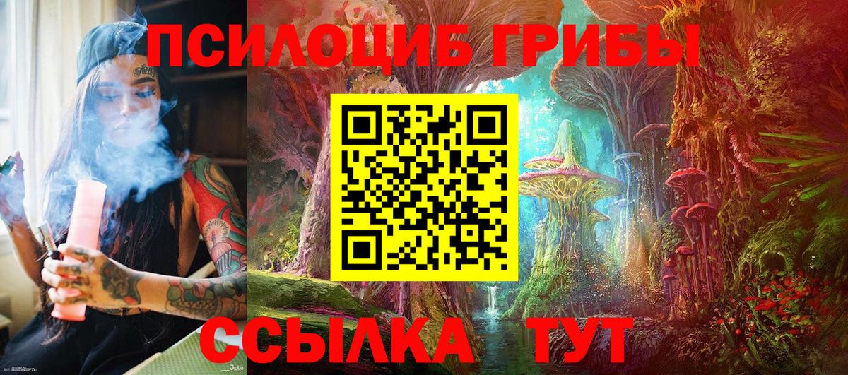 Казань  Галлюциногенные грибы прущие грибы  Вход с VPN 